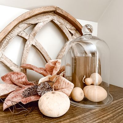 Glass Cloche With Plate