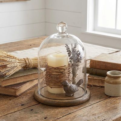 Glass Dome Cloche with Willow Base