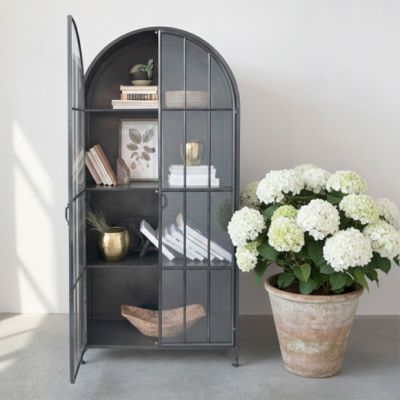 Glass Door Arched Metal Display Cabinet