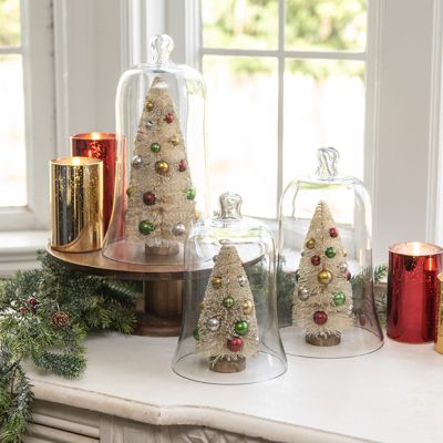 Gleaming Glass Bell Cloche