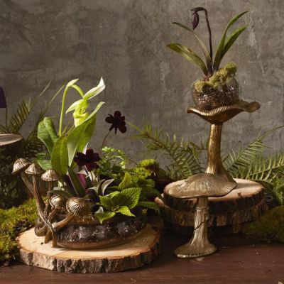 Gold Finish Mushroom Accent Decor Collection