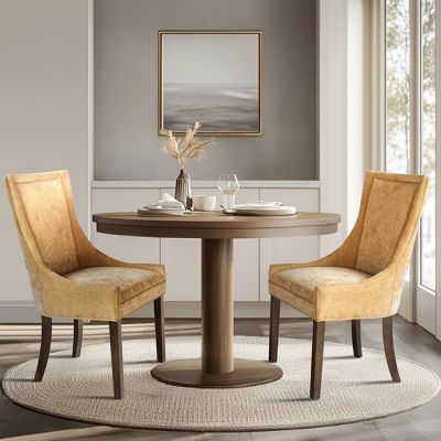 Golden Hour Dining Chair Set of 2