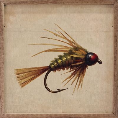 Green and Gold Fishing Fly Framed Wall Art