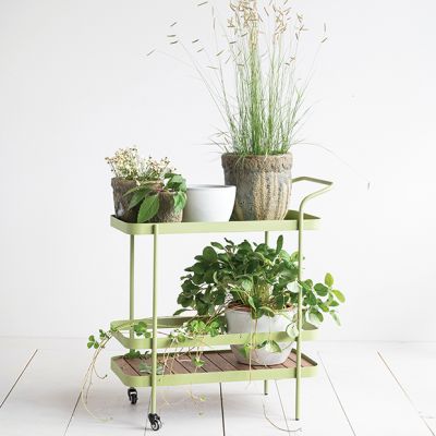 Green Metal Indoor/Outdoor Bar Cart