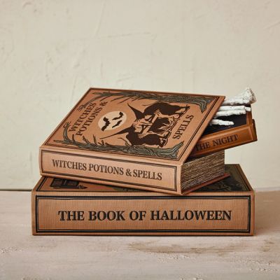 Halloween Themed Storage Book Box Set of 3