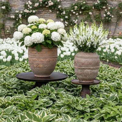 Hand Etched Decorative Clay Pot