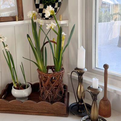 Handled Glass And Wicker Vase