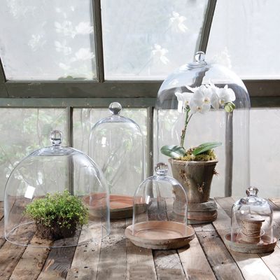 Handled Glass Dome