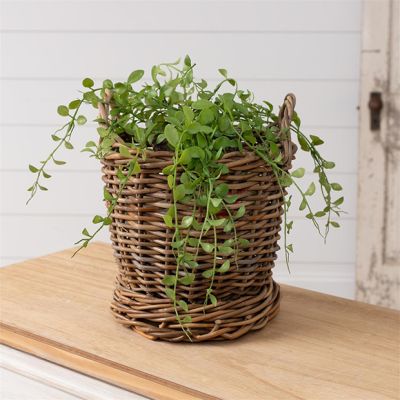 Handled Rattan Planter Basket