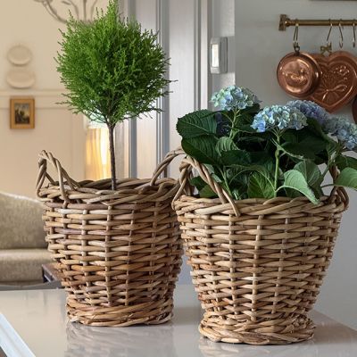 Handled Rattan Planter Basket