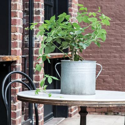 Handled Zinc Drum Washing Tub