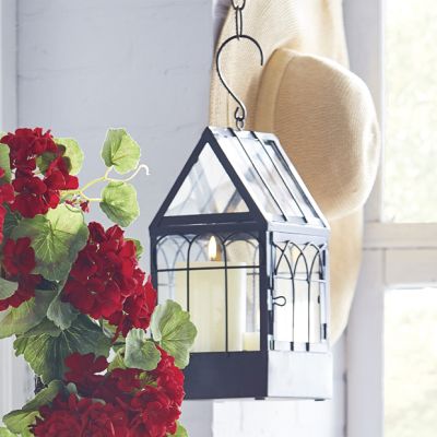 Hanging Display Terrarium