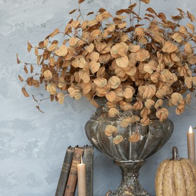 Harvest Accents Eucalyptus Bush Stem