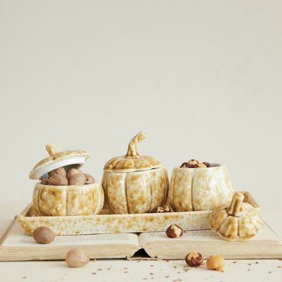Harvest Pumpkin Stoneware Jar Set with Tray