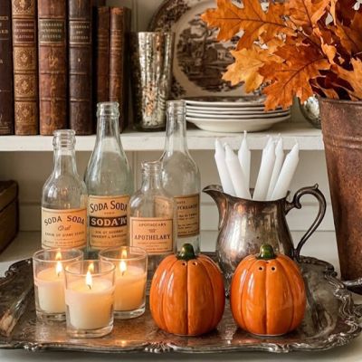 Hearthside Harvest Pumpkin Salt and Pepper Shaker Set