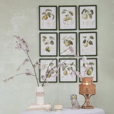 Hobnail Framed Pear Print Set of 9