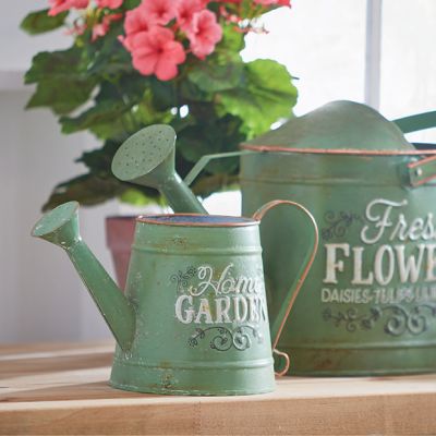 Home Garden Decorative Watering Can