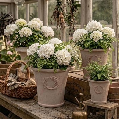 Laurel Wreath Terracotta Pot Set of 3