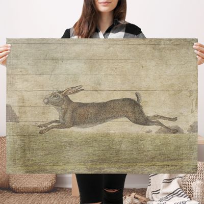 Leaping Bunny Canvas Flat Wall Art