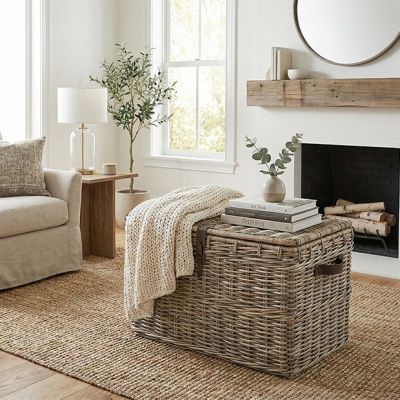 Lidded Storage Basket Trunk