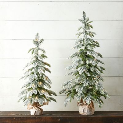 Lighted Flocked Pine Tree in Bag