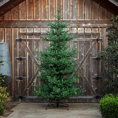Lighted Noble Fir Christmas Tree