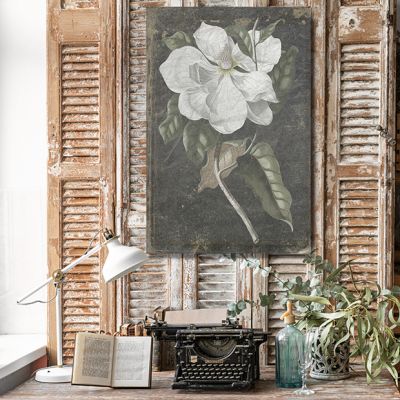 Magnolia Noir Canvas Wall Art