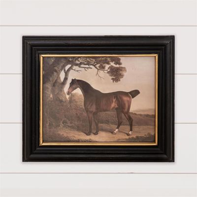 Majestic Framed Horse Print