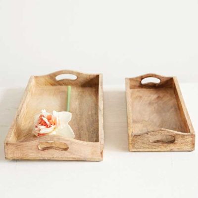 Mango Wood Tray Planter Set of 2