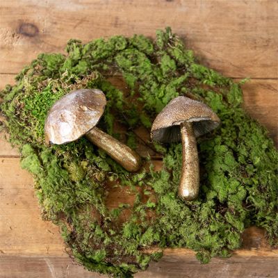 Metallic Mushroom Figure Set of 2