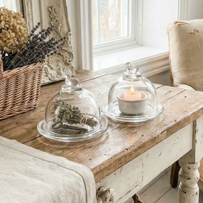 Mini Glass Bird Cloche with Base Set of 2