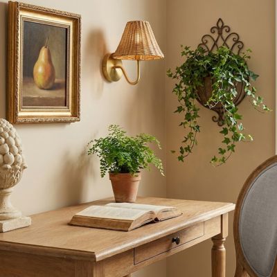 Modern Chic Basket Shade Lamp Sconce