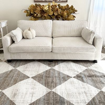Modern Farmhouse Checkered Fringe Area Rug