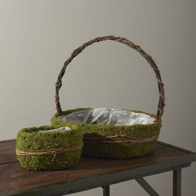 Moss and Vines Decorative Bowl and Basket Collection