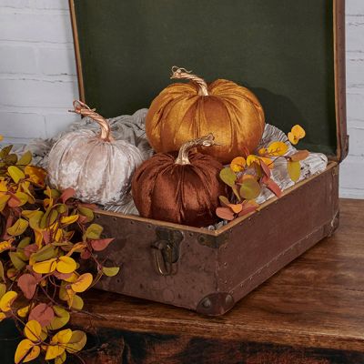 Multi Color Velvet Fall Pumpkin Set of 9