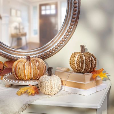 Natural Accents Woven Rattan Pumpkins Set of 3