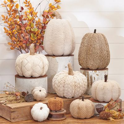 Natural Autumn Pumpkin Collection