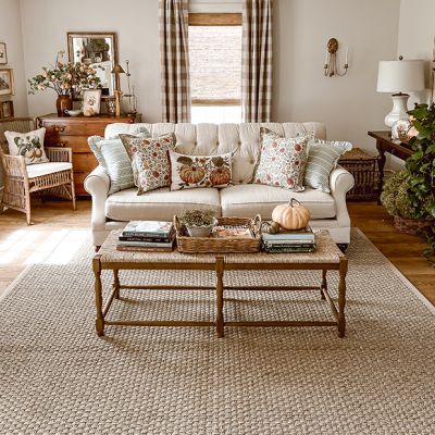 Natural Border Woven Seagrass Indoor/Outdoor Area Rug