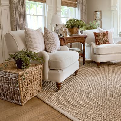 Natural Border Woven Seagrass Indoor/Outdoor Area Rug