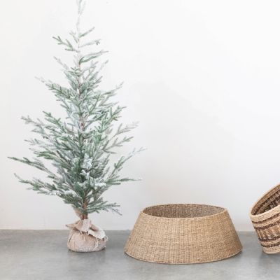 Natural Seagrass 2 Piece Tree Collar