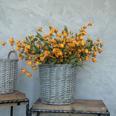 Orange Wildflower Stems Bush