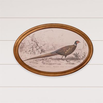 Oval Framed Pheasant Wall Decor