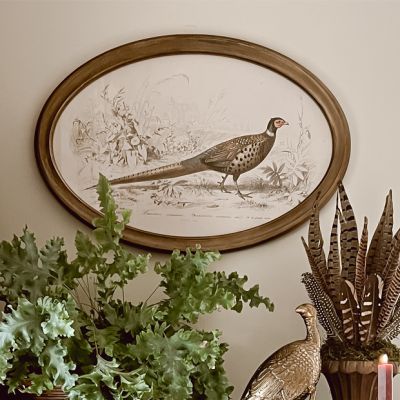 Oval Framed Pheasant Wall Decor