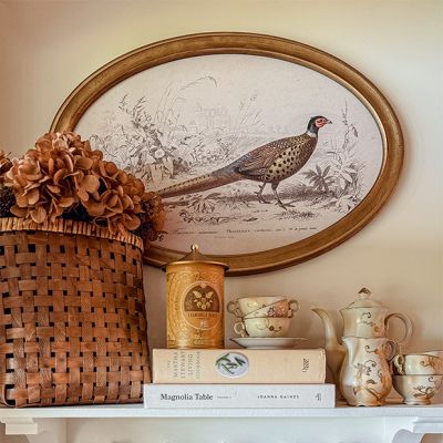 Oval Framed Pheasant Wall Decor