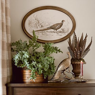 Oval Framed Pheasant Wall Decor