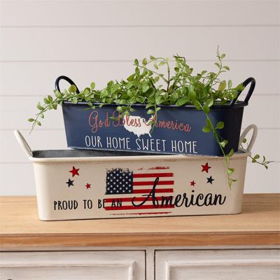 Painted Americana Narrow Tray Set of 2