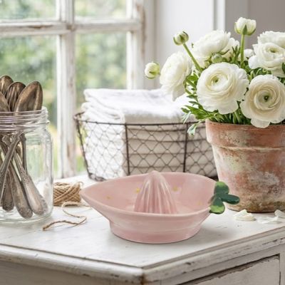 Painted Strawberry Shaped Citrus Juicer