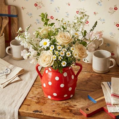 Polka Dot Terracotta Planter With Handles