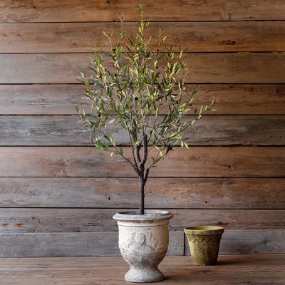 Potted Faux Greek Olive Tree 67 Inch