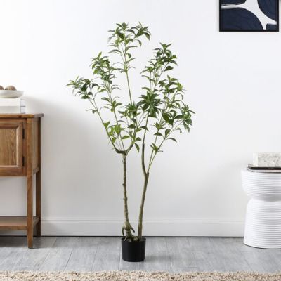 Potted Faux Japanese Andromeda 60 Inch